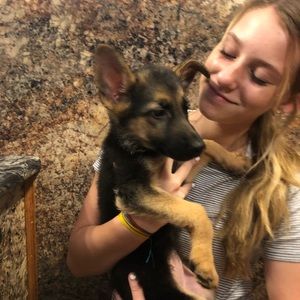 Meet your Posher, Ashlyn